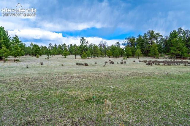 Tract 103 Doe Valley Road, Guffey, CO 80820