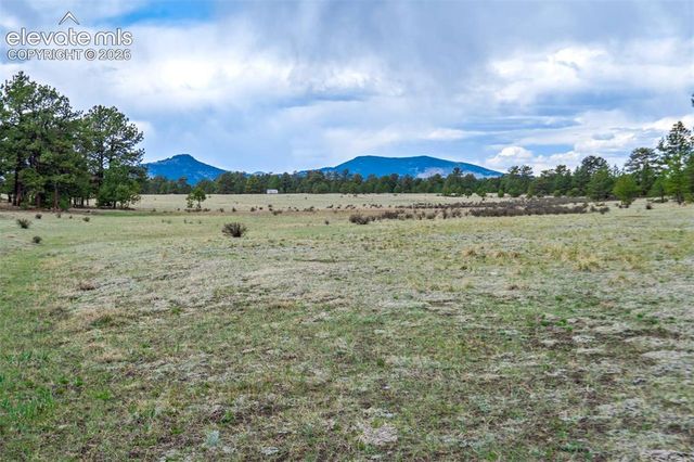 Tract 103 Doe Valley Road, Guffey, CO 80820