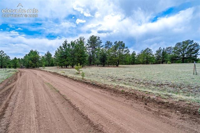 Tract 103 Doe Valley Road, Guffey, CO 80820