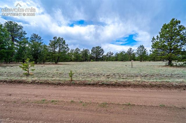 Tract 103 Doe Valley Road, Guffey, CO 80820