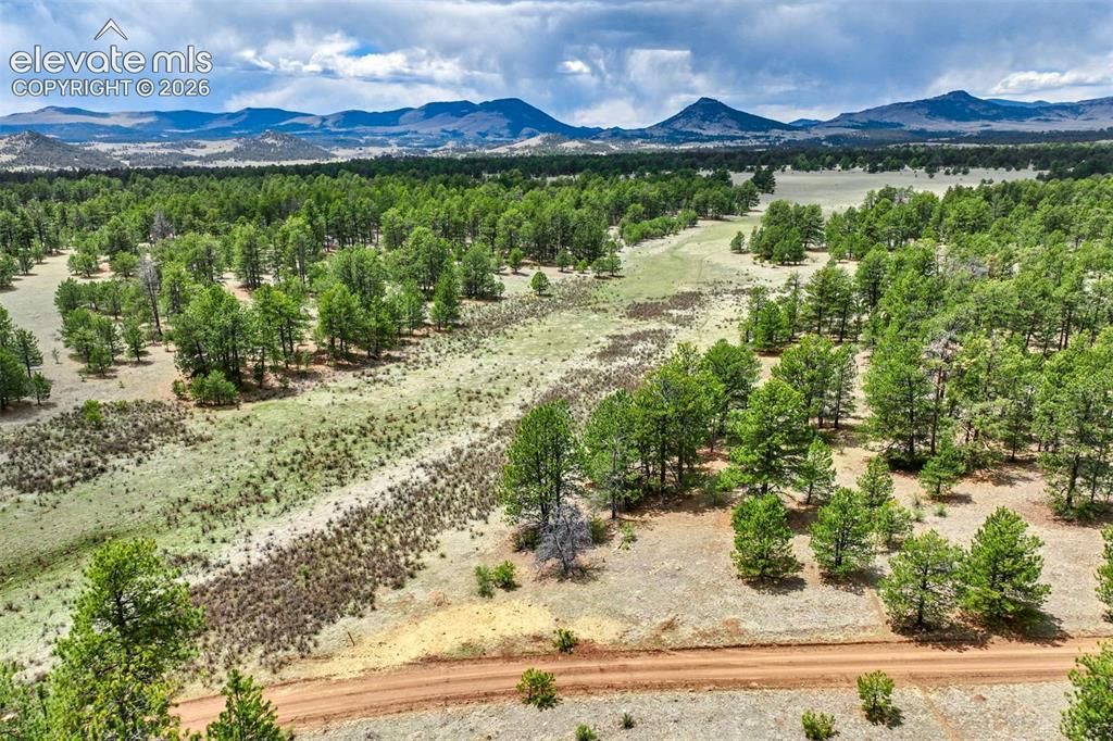 Tract 103 Doe Valley Road, Guffey, CO 80820 — photo 2