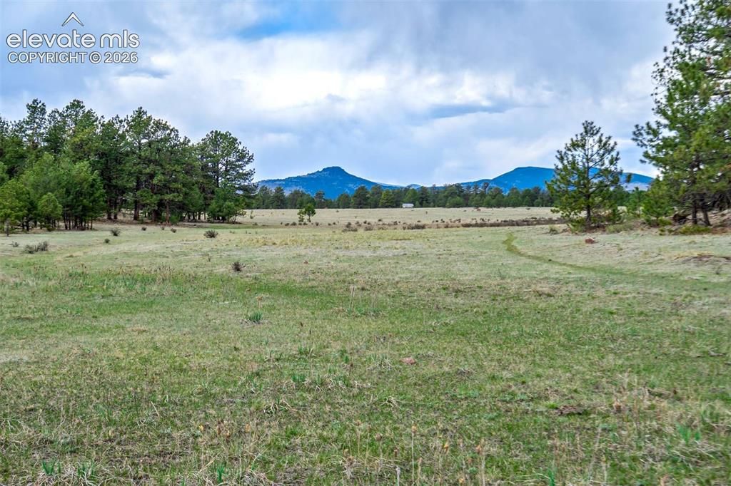 Tract 103 Doe Valley Road, Guffey, CO 80820 — photo 5