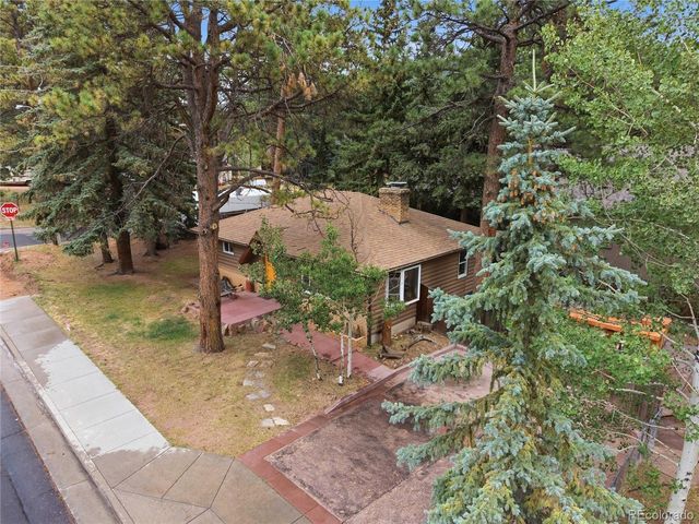 305 S Fairview St, Woodland Park, CO 80863