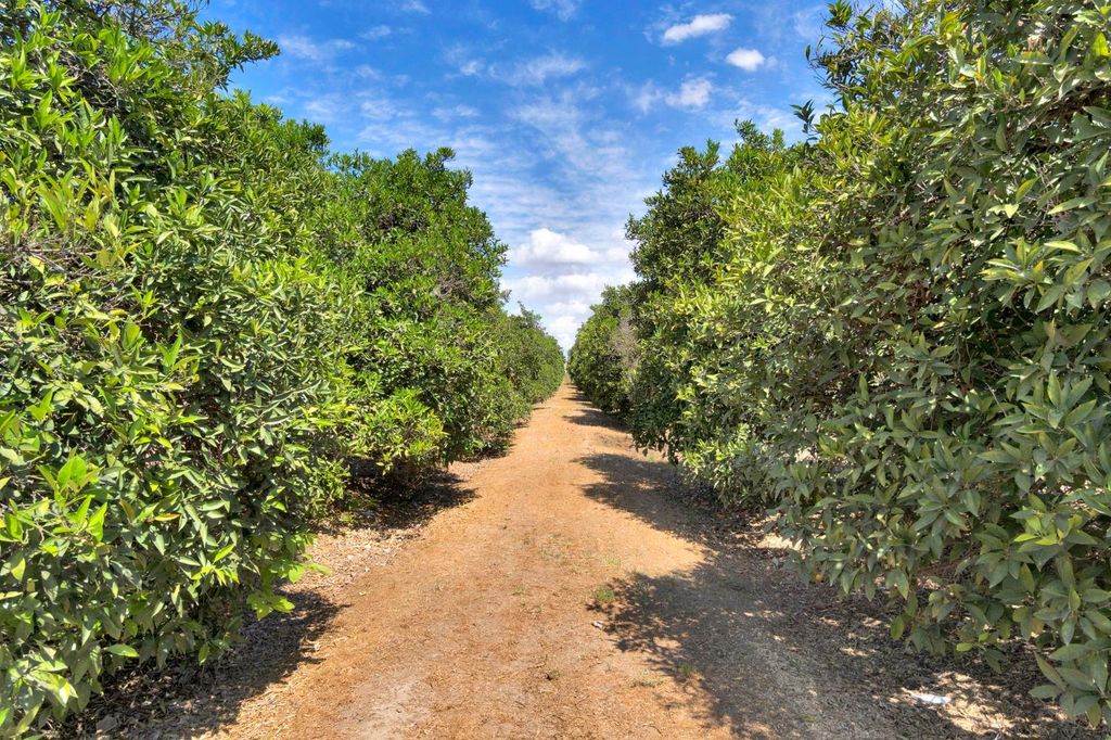 Image 37 of property listing at 41640 Road 120, Orosi, CA 93647