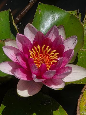 13333 Low Gap Rd, Ukiah, CA 95482