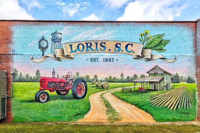 1410 Lloyd Ct., Loris, SC 29569