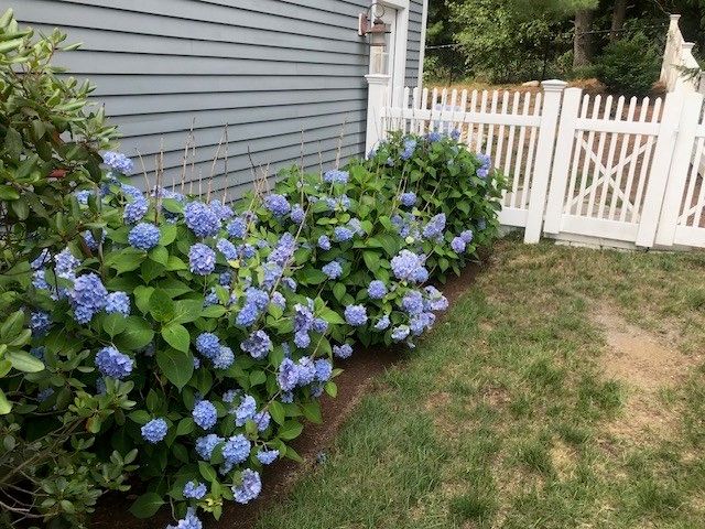 8 Snowberry Lane, Sudbury, MA 01776