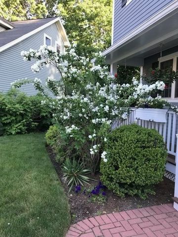 8 Snowberry Lane, Sudbury, MA 01776