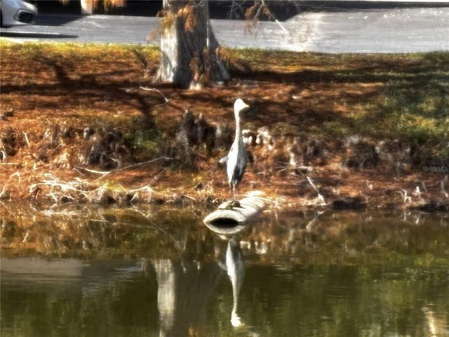 4220 CENTRAL SARASOTA PARKWAY 1214, Sarasota, FL 34238