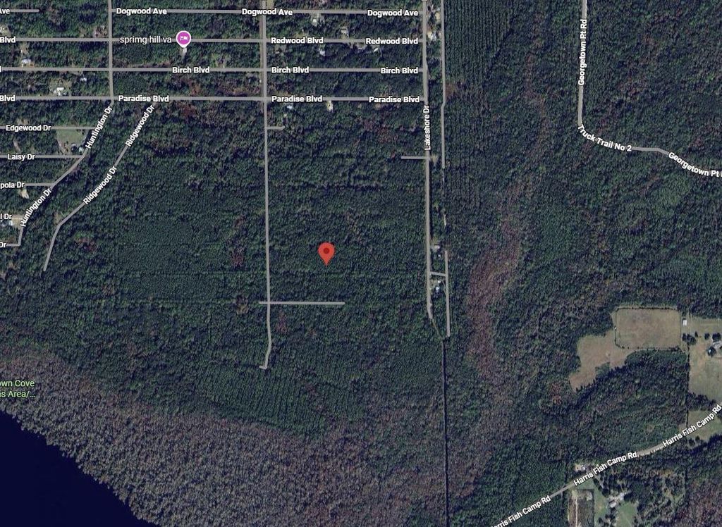 214 Garrison Avenue, Georgetown, FL 32139