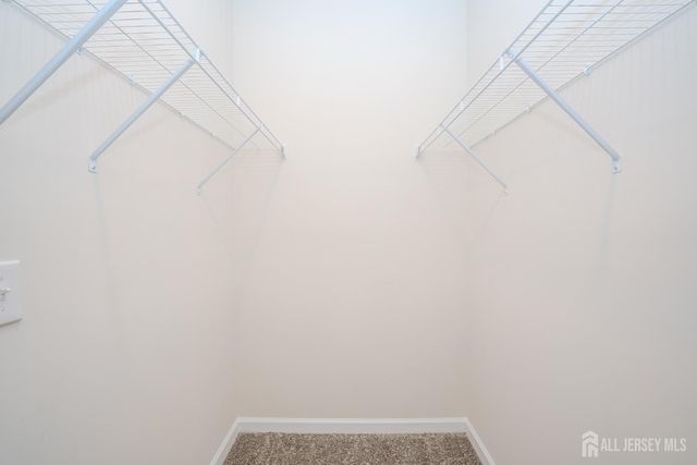 121 Jessie Place, New Brunswick, NJ 08901