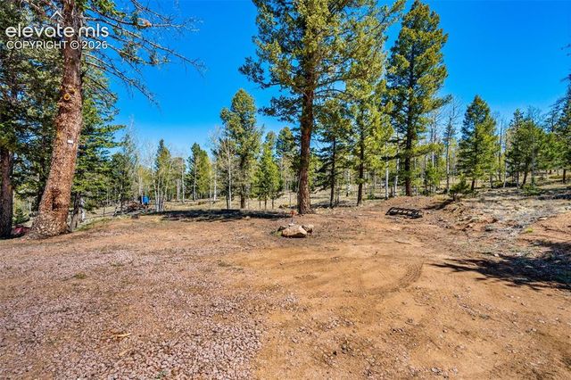 417 Beaver Creek Drive, Florissant, CO 80816