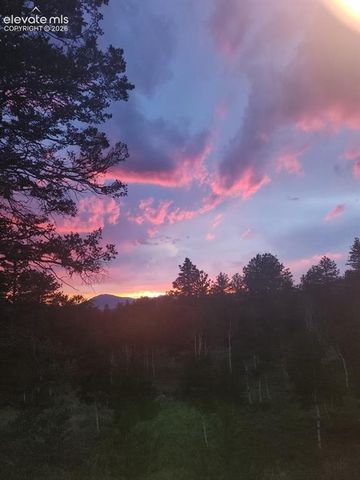 417 Beaver Creek Drive, Florissant, CO 80816