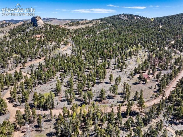 417 Beaver Creek Drive, Florissant, CO 80816