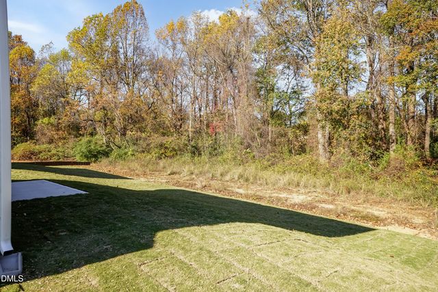 191 New Twin Branch Court, Smithfield, NC 27577