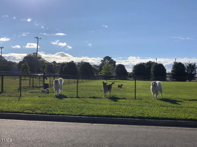 191 New Twin Branch Court, Smithfield, NC 27577