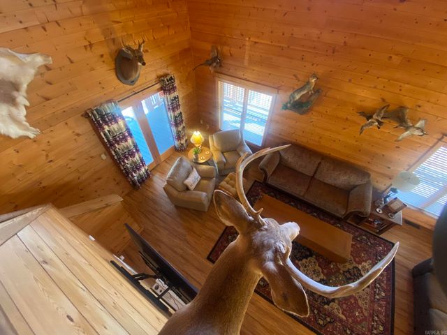 465 S Riverview Lane, Mountain View, AR 72560