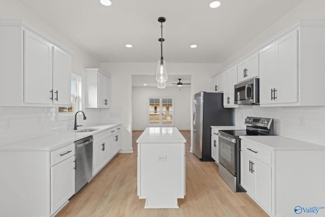 21246 Scuttle Street, Athens, AL 35611