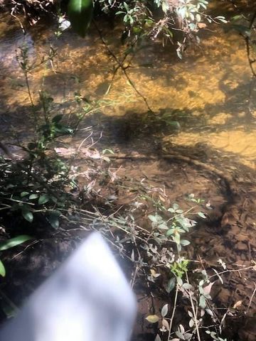 3548 Schillinger S Road, Mobile, AL 36619