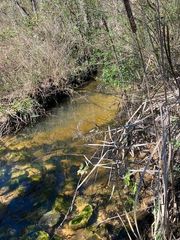 3548 Schillinger S Road, Mobile, AL 36619