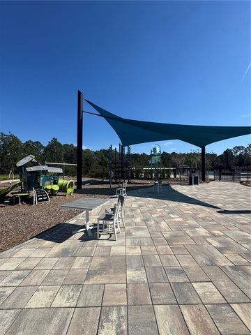 2955 TURNSTONE RUN, Harmony, FL 34773