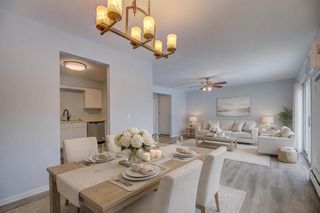 7203 Old Sauk Road #C, Madison, WI 53717