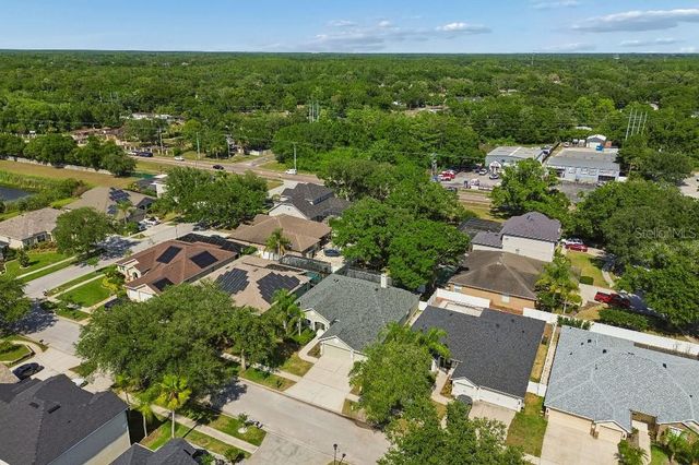 15217 OCTAVIA LANE, Odessa, FL 33556