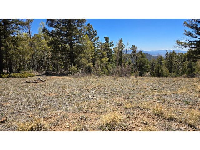 5817 Balleroy & Covington Rd, Fort Garland, CO 81133