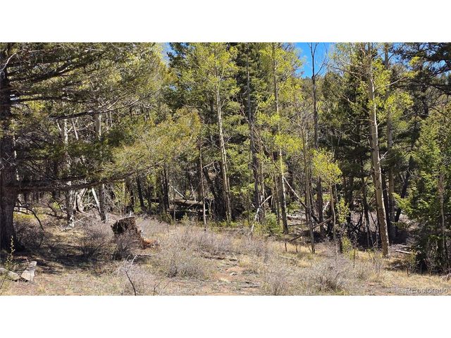 5817 Balleroy & Covington Rd, Fort Garland, CO 81133