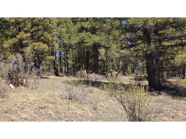 5817 Balleroy & Covington Rd, Fort Garland, CO 81133