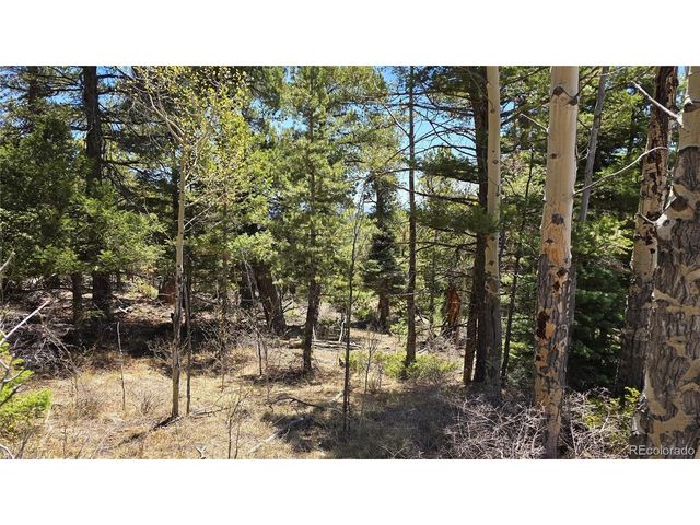 5817 Balleroy & Covington Rd, Fort Garland, CO 81133