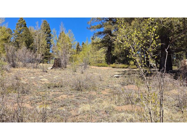 5817 Balleroy & Covington Rd, Fort Garland, CO 81133