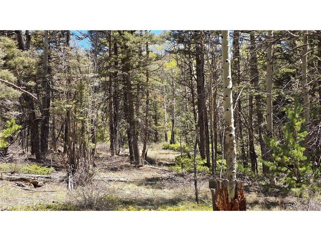 5817 Balleroy & Covington Rd, Fort Garland, CO 81133