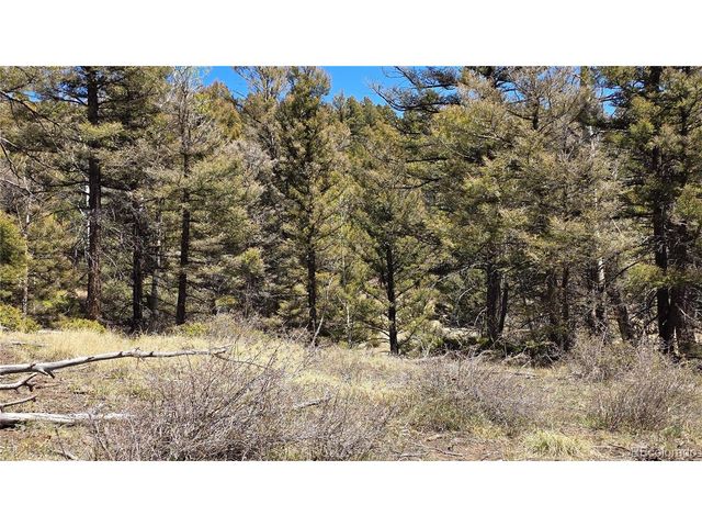 5817 Balleroy & Covington Rd, Fort Garland, CO 81133