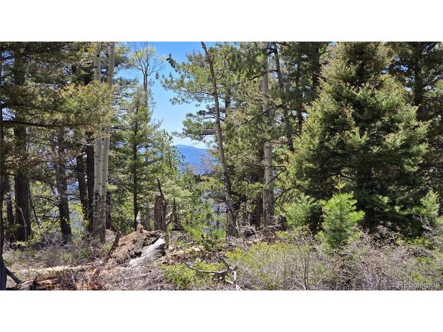 5817 Balleroy & Covington Rd, Fort Garland, CO 81133