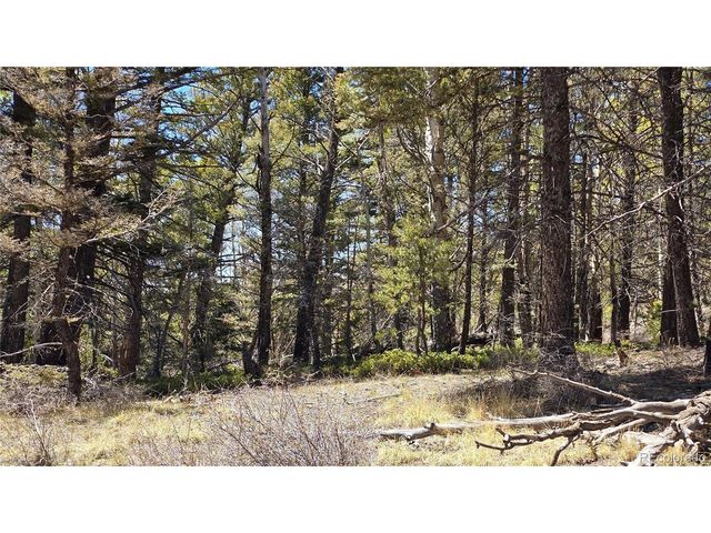 5817 Balleroy & Covington Rd, Fort Garland, CO 81133