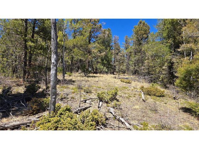 5817 Balleroy & Covington Rd, Fort Garland, CO 81133