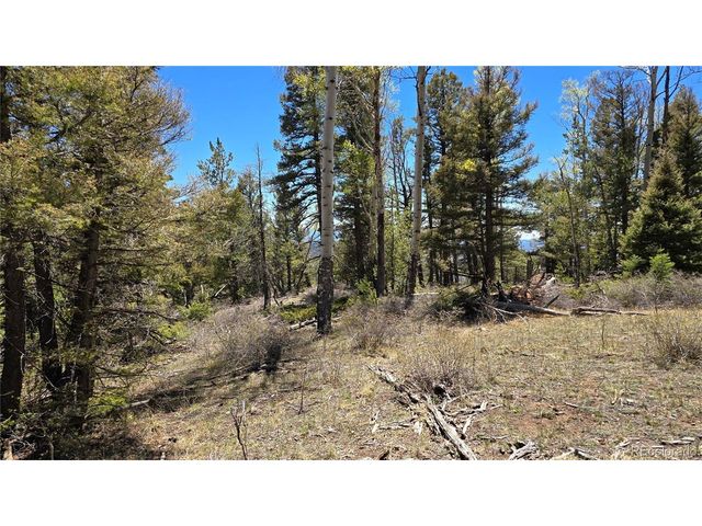 5817 Balleroy & Covington Rd, Fort Garland, CO 81133