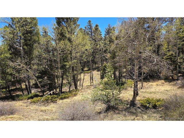 5817 Balleroy & Covington Rd, Fort Garland, CO 81133