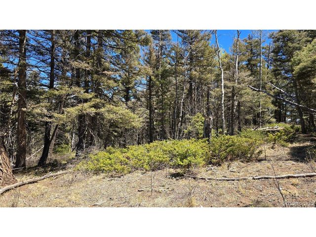 5817 Balleroy & Covington Rd, Fort Garland, CO 81133