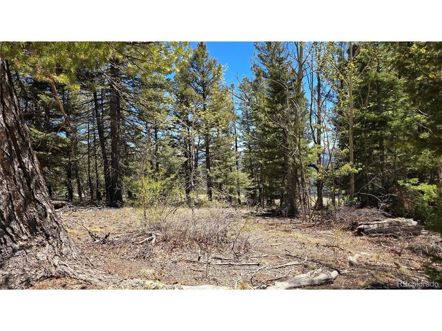 5817 Balleroy & Covington Rd, Fort Garland, CO 81133