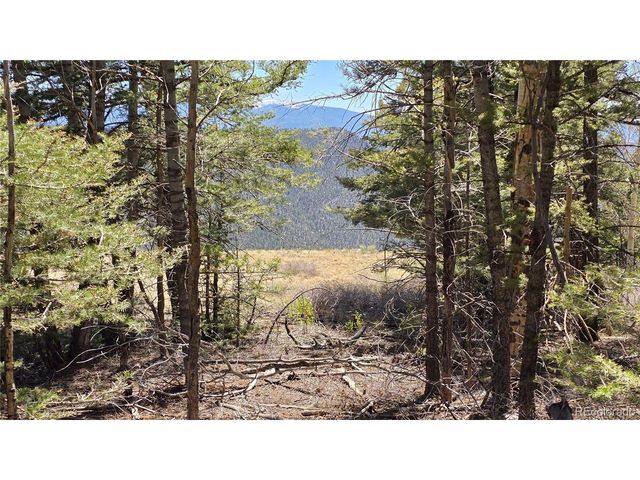5817 Balleroy & Covington Rd, Fort Garland, CO 81133
