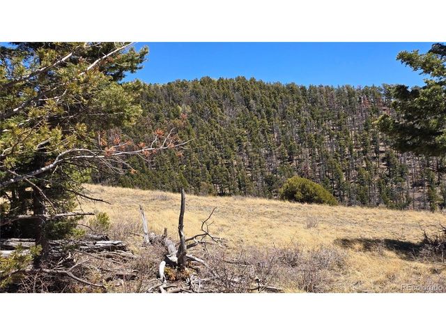 5817 Balleroy & Covington Rd, Fort Garland, CO 81133