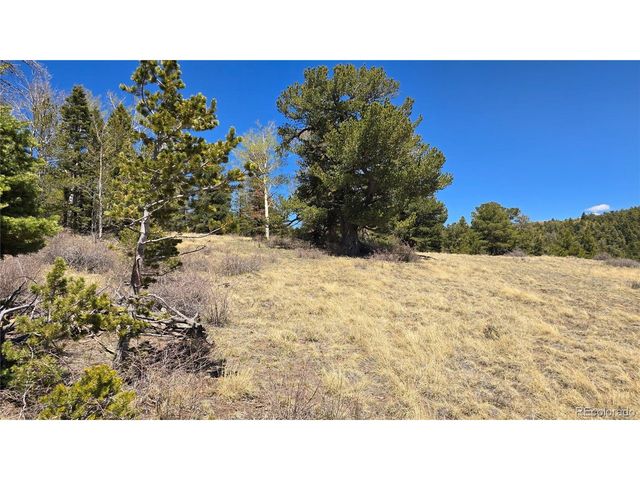 5817 Balleroy & Covington Rd, Fort Garland, CO 81133