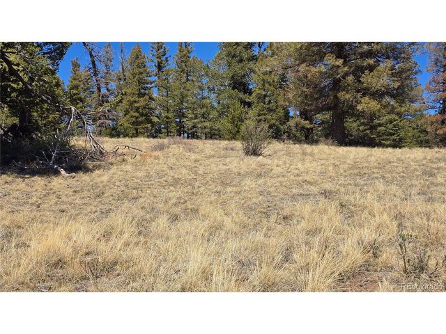 5817 Balleroy & Covington Rd, Fort Garland, CO 81133