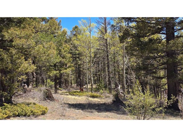 5817 Balleroy & Covington Rd, Fort Garland, CO 81133