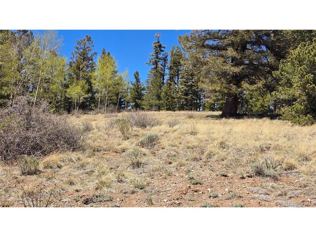 5817 Balleroy & Covington Rd, Fort Garland, CO 81133
