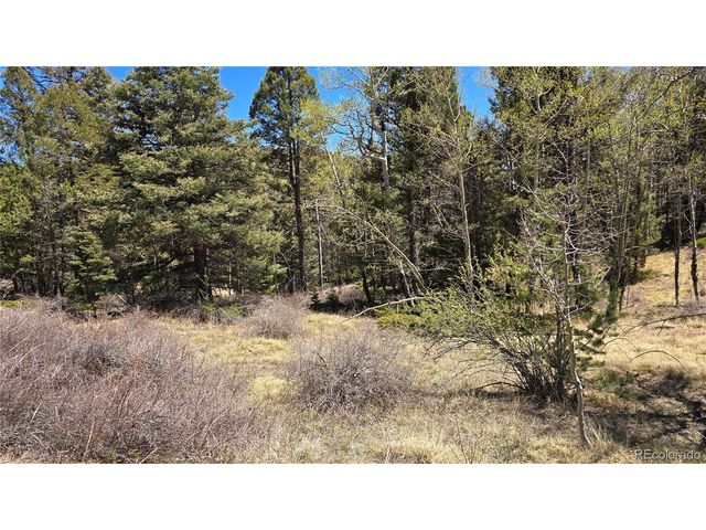 5817 Balleroy & Covington Rd, Fort Garland, CO 81133
