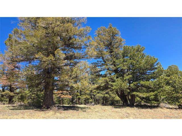 5817 Balleroy & Covington Rd, Fort Garland, CO 81133