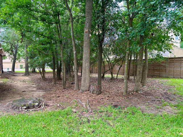 11534 Twain Drive, Montgomery, TX 77356
